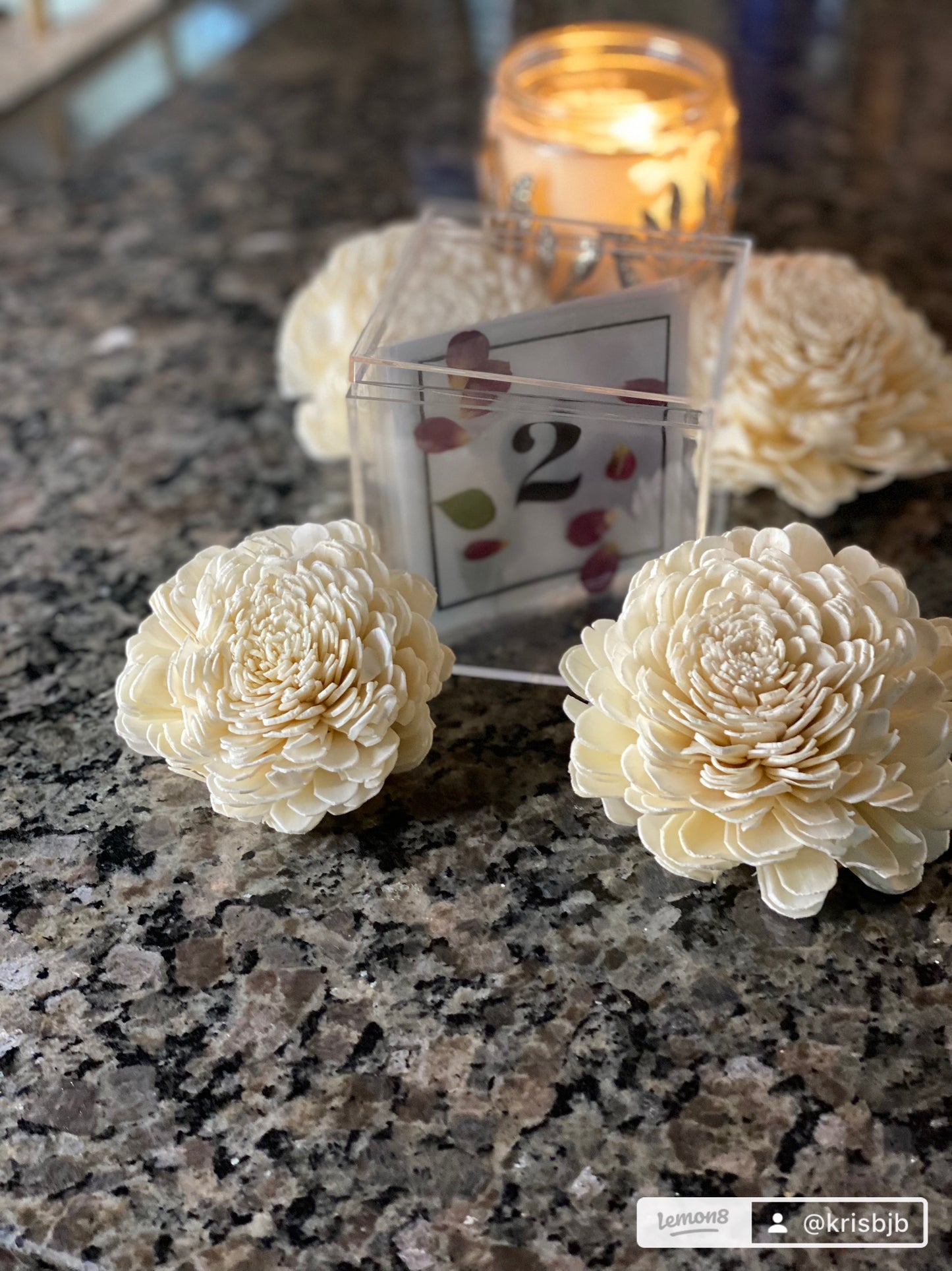 Frosted Vellum Floral Savings Challenge Box
