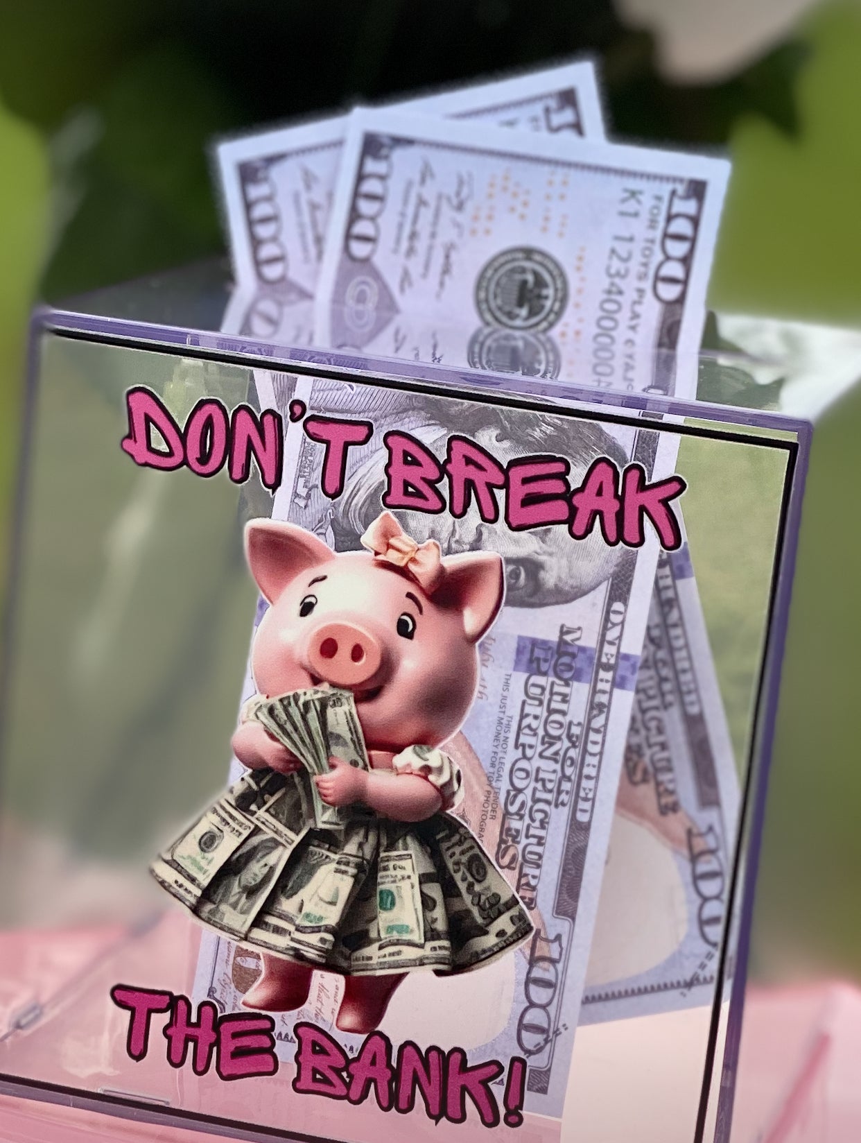 Don't Break The Bank! Emergency Fund Savings Challenge Box