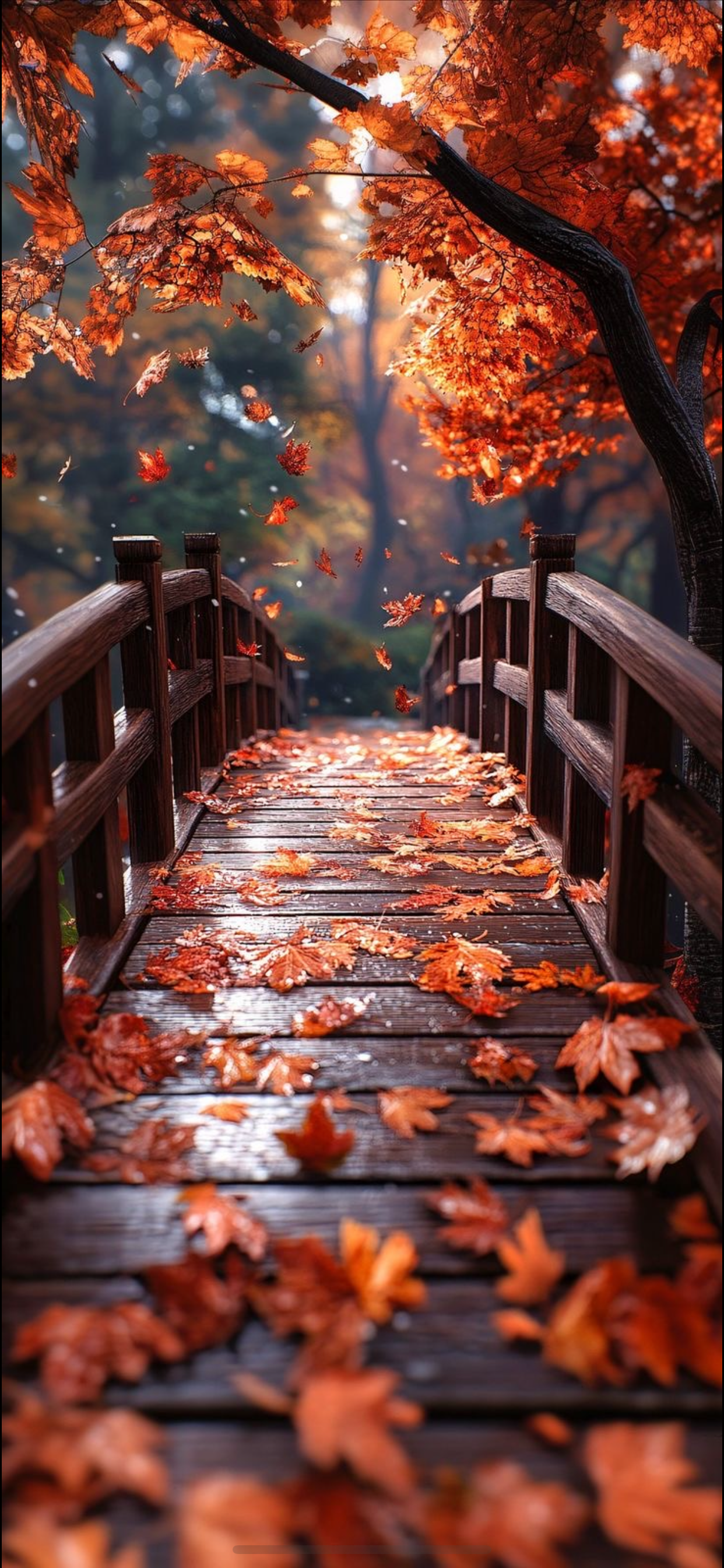 Fall Dashboards A6