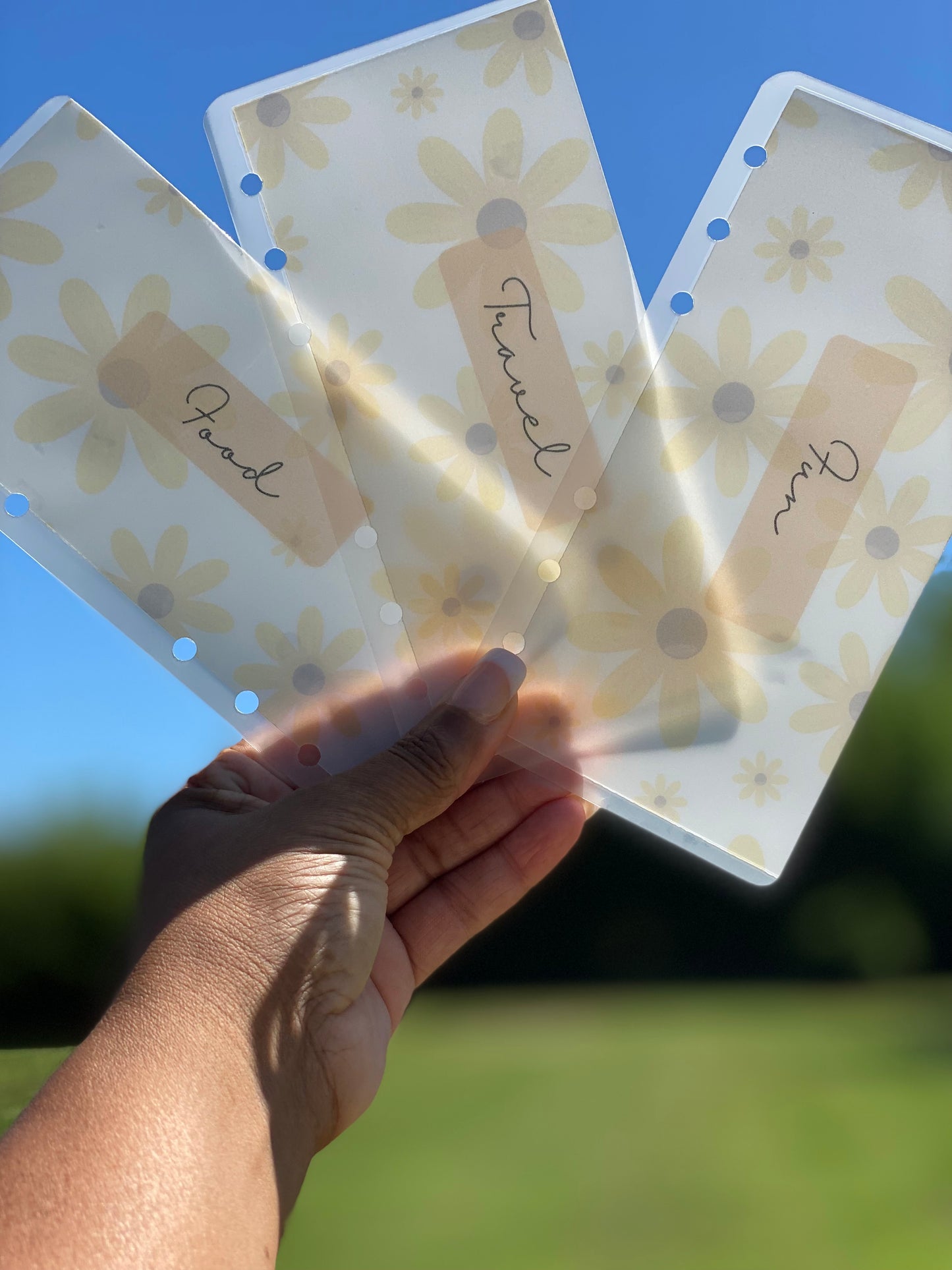 Matte Cash Envelopes: Summer Daisy (Set of 6)