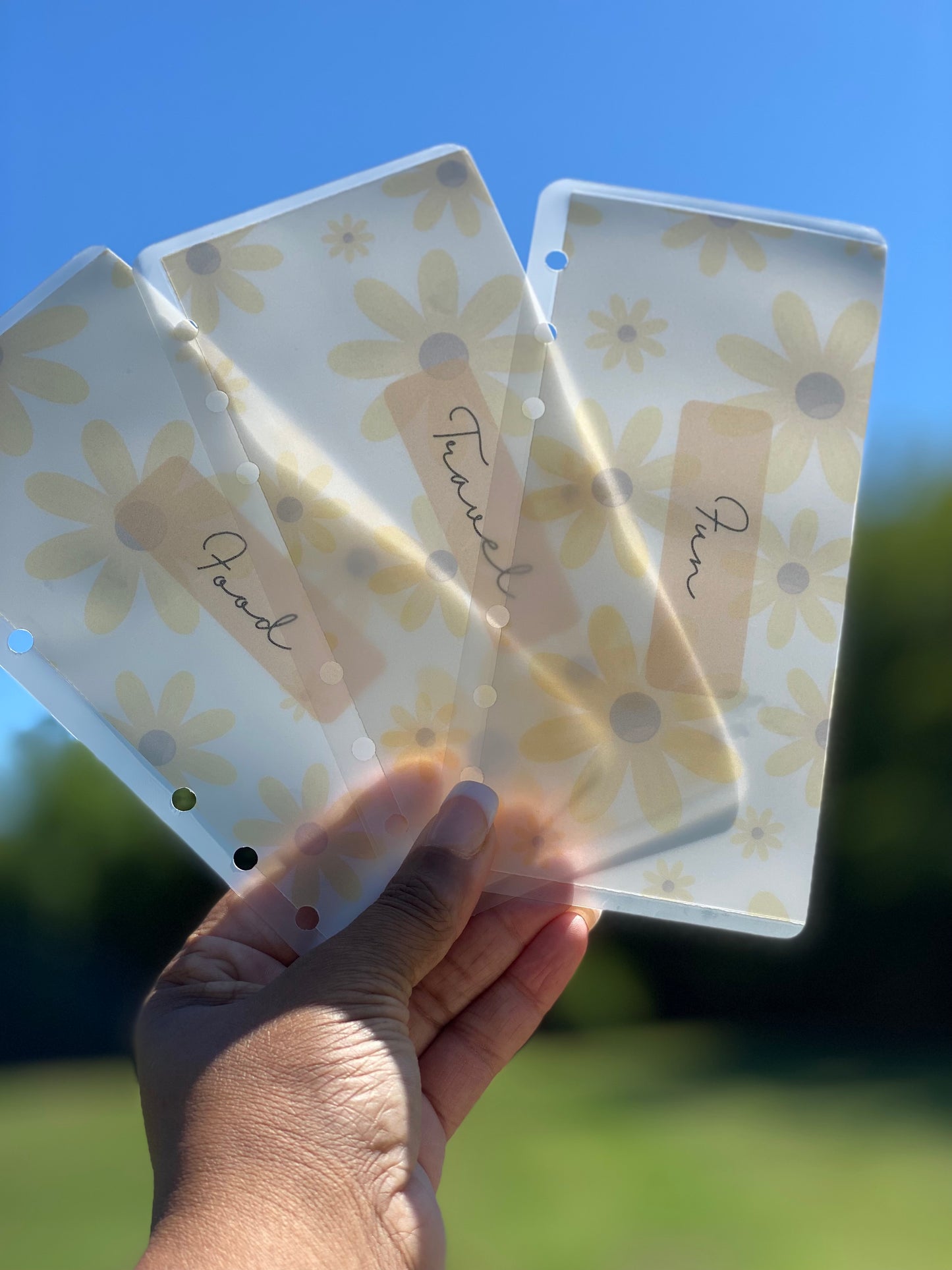 Matte Cash Envelopes: Summer Daisy (Set of 6)