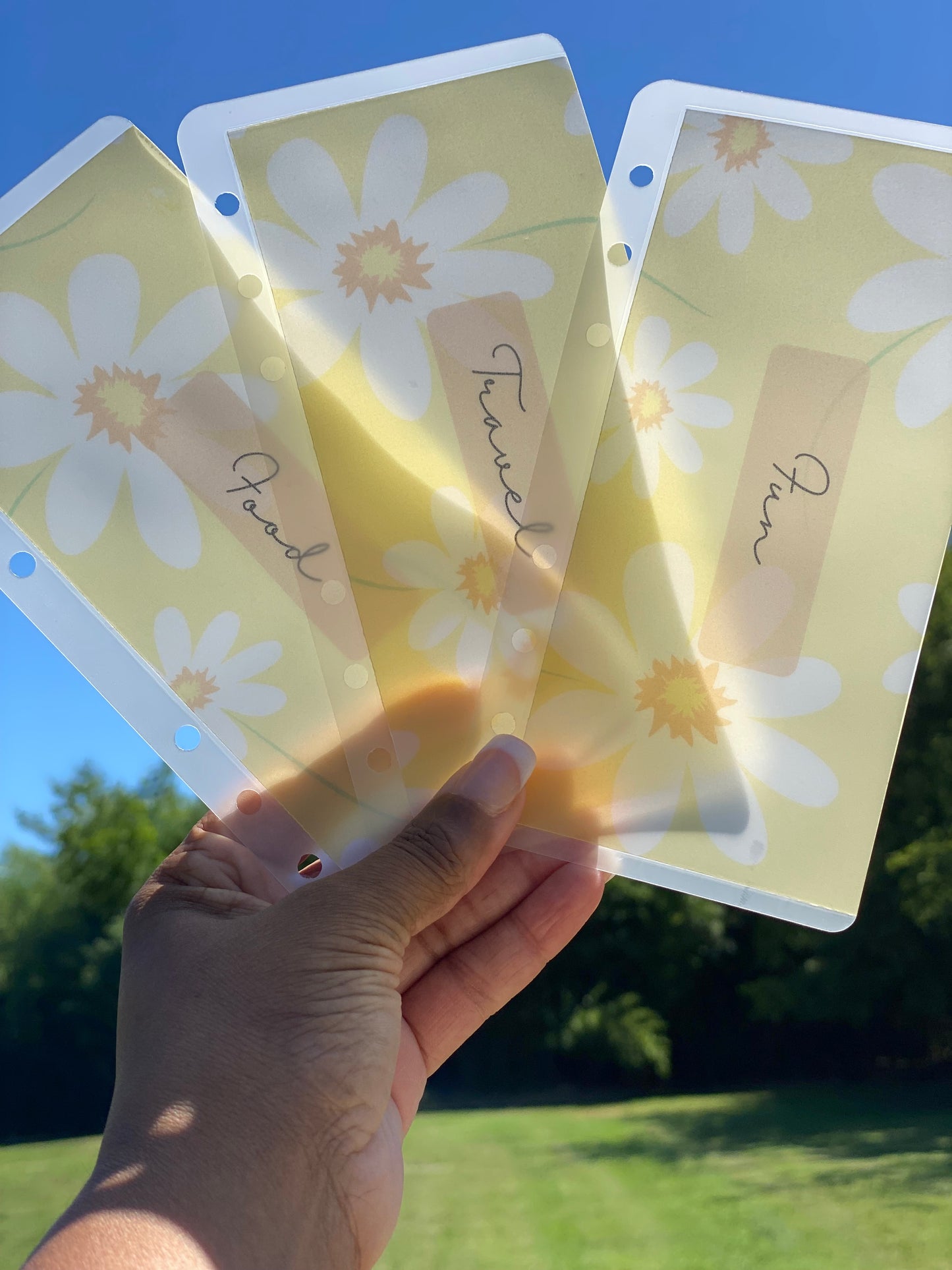 Matte Cash Envelopes: Summer Daisy (Set of 6)