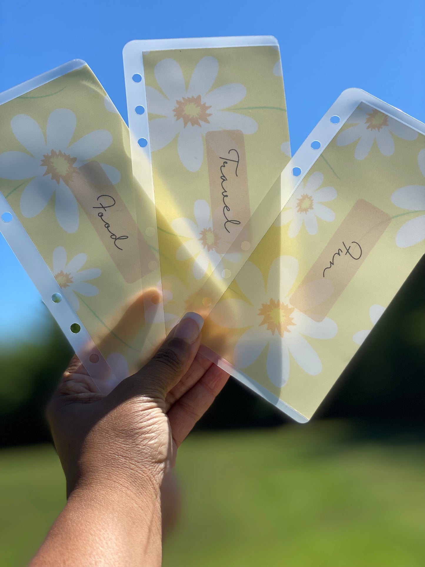 Matte Cash Envelopes: Summer Daisy (Set of 6)